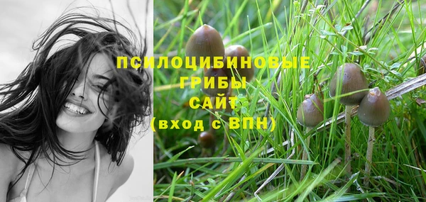 ГАЛЛЮЦИНОГЕННЫЕ ГРИБЫ Нефтегорск