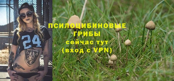 спайс Аша