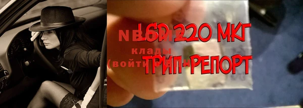 ГАЛЛЮЦИНОГЕННЫЕ ГРИБЫ Нефтегорск