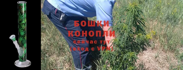 PSILOCYBIN Анжеро-Судженск
