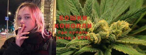 Альфа ПВП Новозыбков