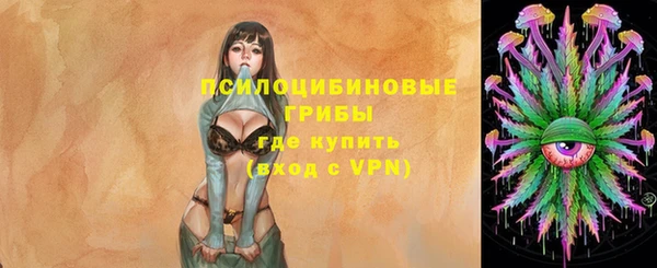 СК Нефтекумск