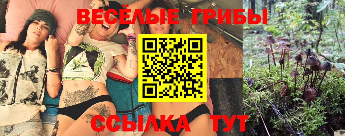 Галлюциногенные грибы Psilocybe Иркутск