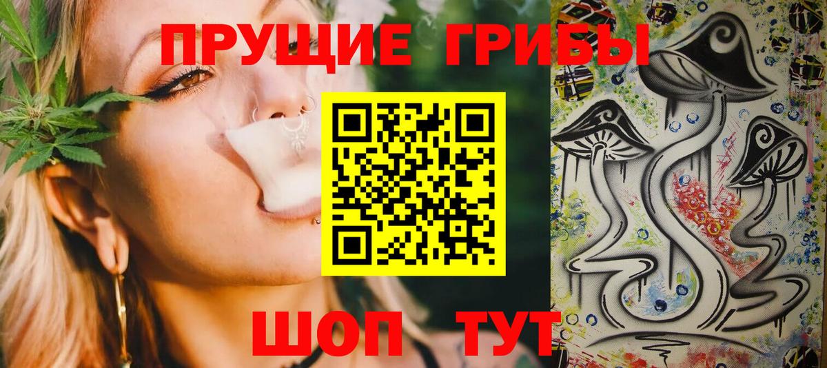 Галлюциногенные грибы Psilocybine cubensis  Иркутск  Псилоцибиновые грибы прущие грибы 