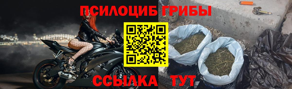 Галлюциногенные грибы GOLDEN TEACHER  Вход с VPN  Иркутск  наркотики  Галлюциногенные грибы прущие грибы 